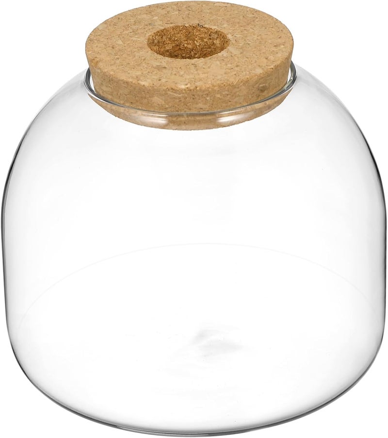 IMIKEYA Terrarium Plants Glass Jar Landscape Ecosystem with Hydroponic and Aquatic Decor - Image 1