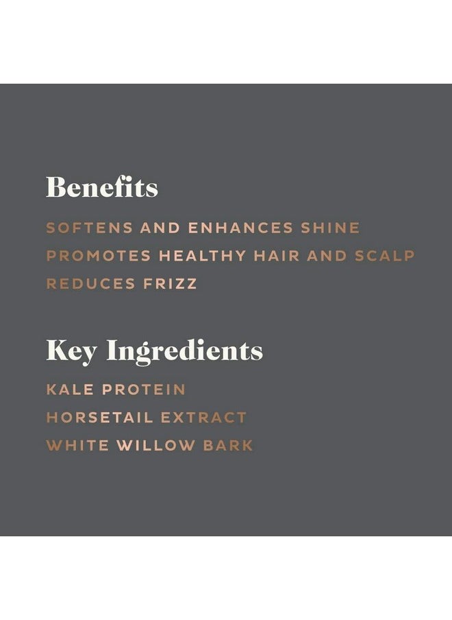 scotch porter Hydrating Hair Wash For Men | Gentle Shampoo Promotes Softness, Shine & Scalp Health | Free Of Parabens, Sulfates & Silicones | Vegan | 13Oz  - Image 3
