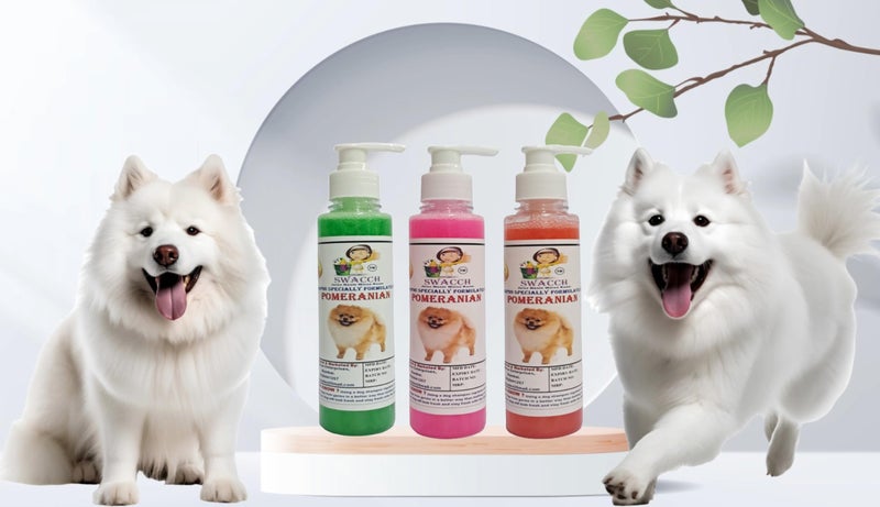 SWACCH Premium Shampoo for Pomeranian (200ML) (Combo Pack of 3) NEEM ALOVERA, Rose & Strawberry - Image 2
