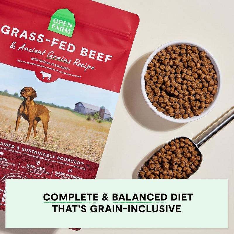 Open Farm, Ancient Grains Dry Dog Food, Protein-Rich & Nutrient Dense, 90% Animal Protein Mixed with Non-GMO Fruits, Veggies and Superfoods, Grass-Fed Beef Recipe, 4lb Bag - Image 2