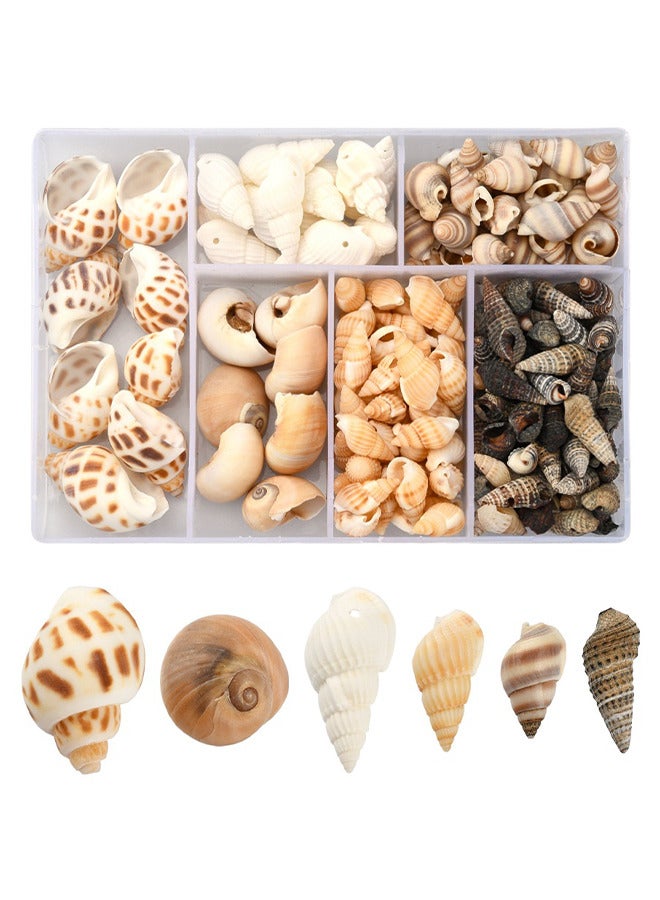 Depend 160PCS Open Back Natural Spiral Shell Beads - Spiral Conch Shells Charms - Beach Seashells Beads - Suitable For DIY Craft Jewelry Making - Home Or Wedding Decoration - Image 1