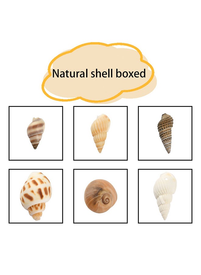 Depend 160PCS Open Back Natural Spiral Shell Beads - Spiral Conch Shells Charms - Beach Seashells Beads - Suitable For DIY Craft Jewelry Making - Home Or Wedding Decoration - Image 2