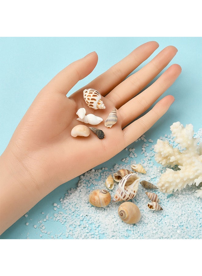 Depend 160PCS Open Back Natural Spiral Shell Beads - Spiral Conch Shells Charms - Beach Seashells Beads - Suitable For DIY Craft Jewelry Making - Home Or Wedding Decoration - Image 5