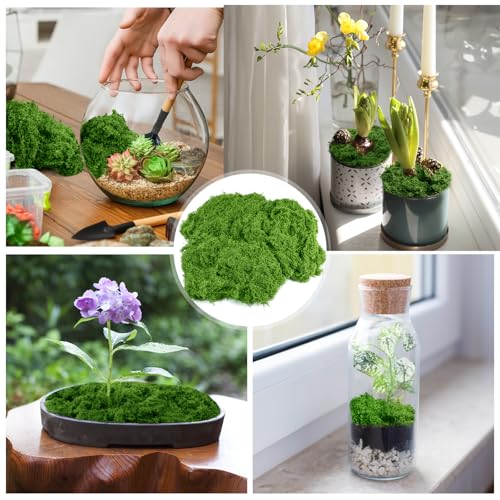 Draupnir Fake Green Moss for Plants Indoor, 5.3OZ Fake Moss for Crafts Preserved for DIY Decorative mossTable Centerpieces Decor Fairy Garden Floral Wedding (150g) - Image 5