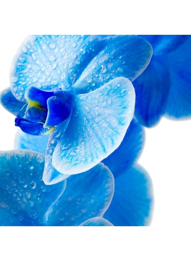 Pour Moi Blue Serum Climatesmart Antiaging Formula With Hyaluronic Acid Retinol And Vitamin C - Image 3