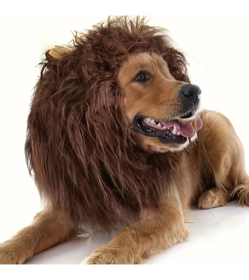 Lion Mane Dog Costume for Medium Large Breeds Dark Brown Halloween - Image 1