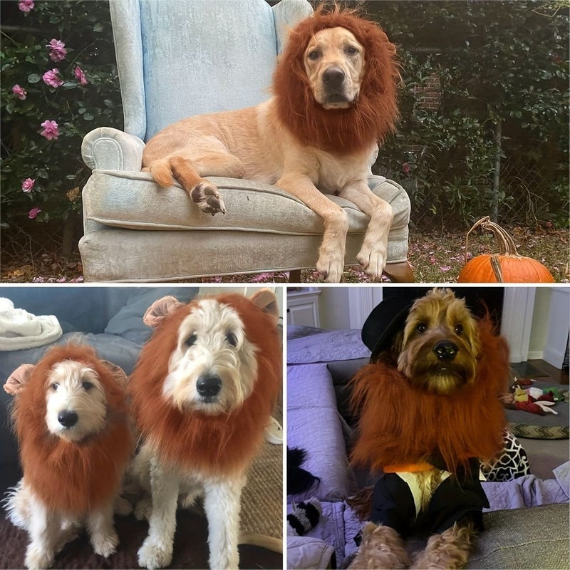 Lion Mane Dog Costume for Medium Large Breeds Dark Brown Halloween - Image 2