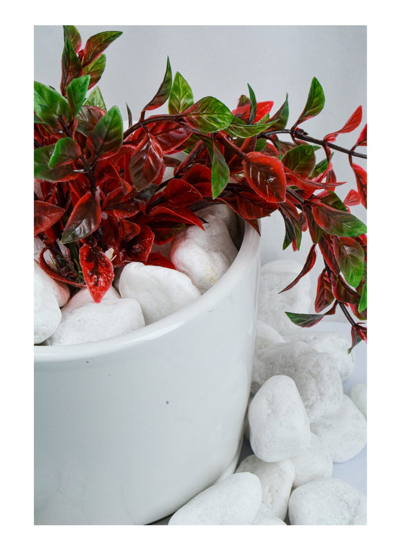 vsell24 2kg of Elegant 5-8cm White Stones – Perfect for Home & Garden Decor  - Image 2