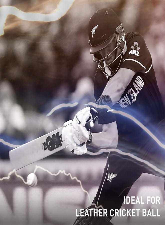 تبلد مضرب كريكيت من خشب الصفصاف الإنجليزي من SAG، احترافي، خشب طبيعي، مقاس 6، مقبض جلدي، حواف عريضة 40-45 مم، مع غطاء مجاني للمضرب - Image 5