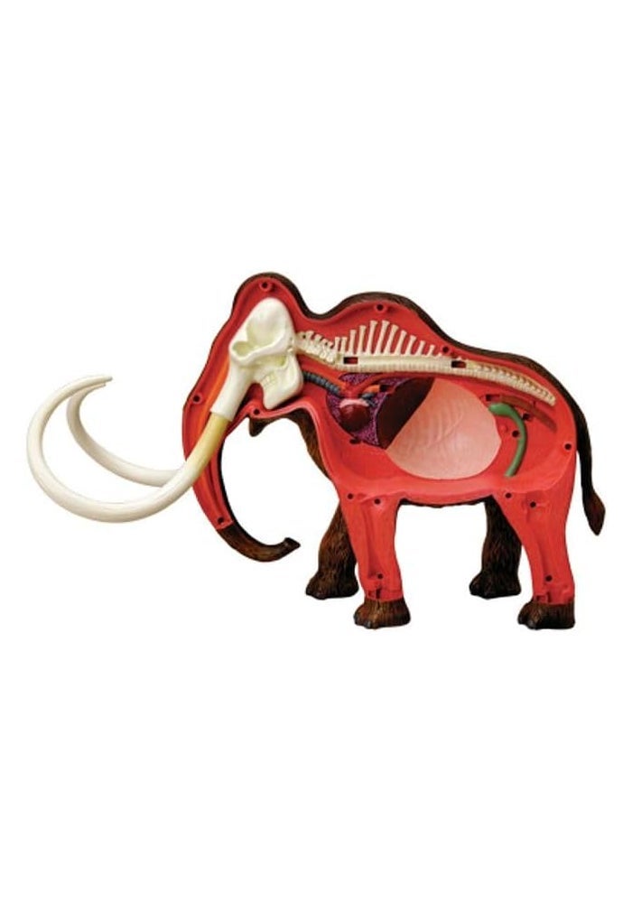 Tedco 4D Vision Woolly Mammoth Anatomy Model with 26 Detachable Organs - Image 2
