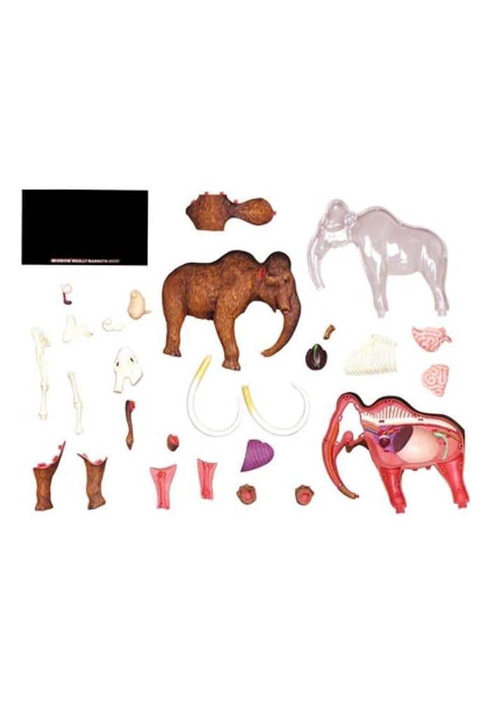 Tedco 4D Vision Woolly Mammoth Anatomy Model with 26 Detachable Organs - Image 3