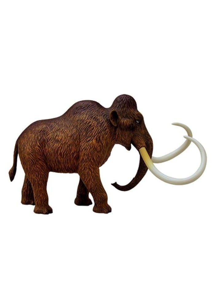 Tedco 4D Vision Woolly Mammoth Anatomy Model with 26 Detachable Organs - Image 1