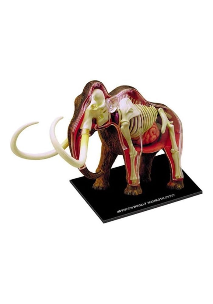Tedco 4D Vision Woolly Mammoth Anatomy Model with 26 Detachable Organs - Image 4
