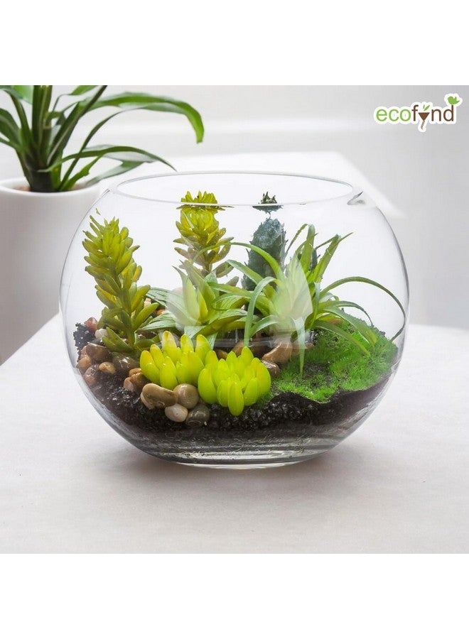 ecofynd Glass Terrarium Bowl, Fish Bowl, Crystal Clear Aquarium Bowl for Fish, Round Bubble Vase for Events, Decorating, Xmas Home Decor, or Office Decor (Pack of 1, 4inch, GB001) - Image 4