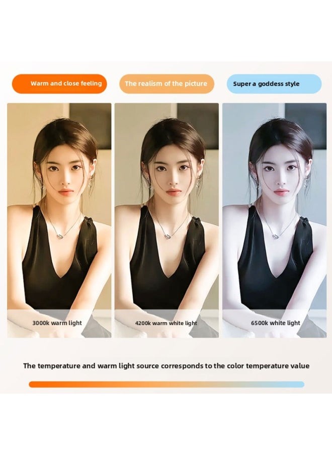 General - Chin Light Live Facial Beauty Rejuvenation Atmosphere Mirror Headlights Computer Desktop Double Row Lights-Specifications:40cm Desktop Row Lamp Without Baffle - Image 1