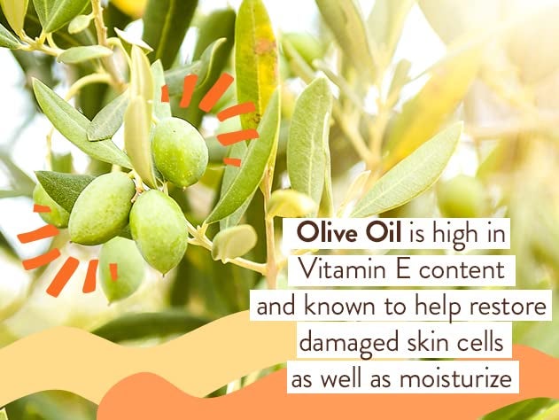 Babo Botanicals صابون يد رغوي خالي من العطور للأطفال من بابل بوتانيكالز - رغوي ذاتيًا - زيت مانوكا، زبدة الشيا والألوة فيرا - للأطفال، الأطفال والبالغين ذوي البشرة الحساسة - نباتي - Image 3