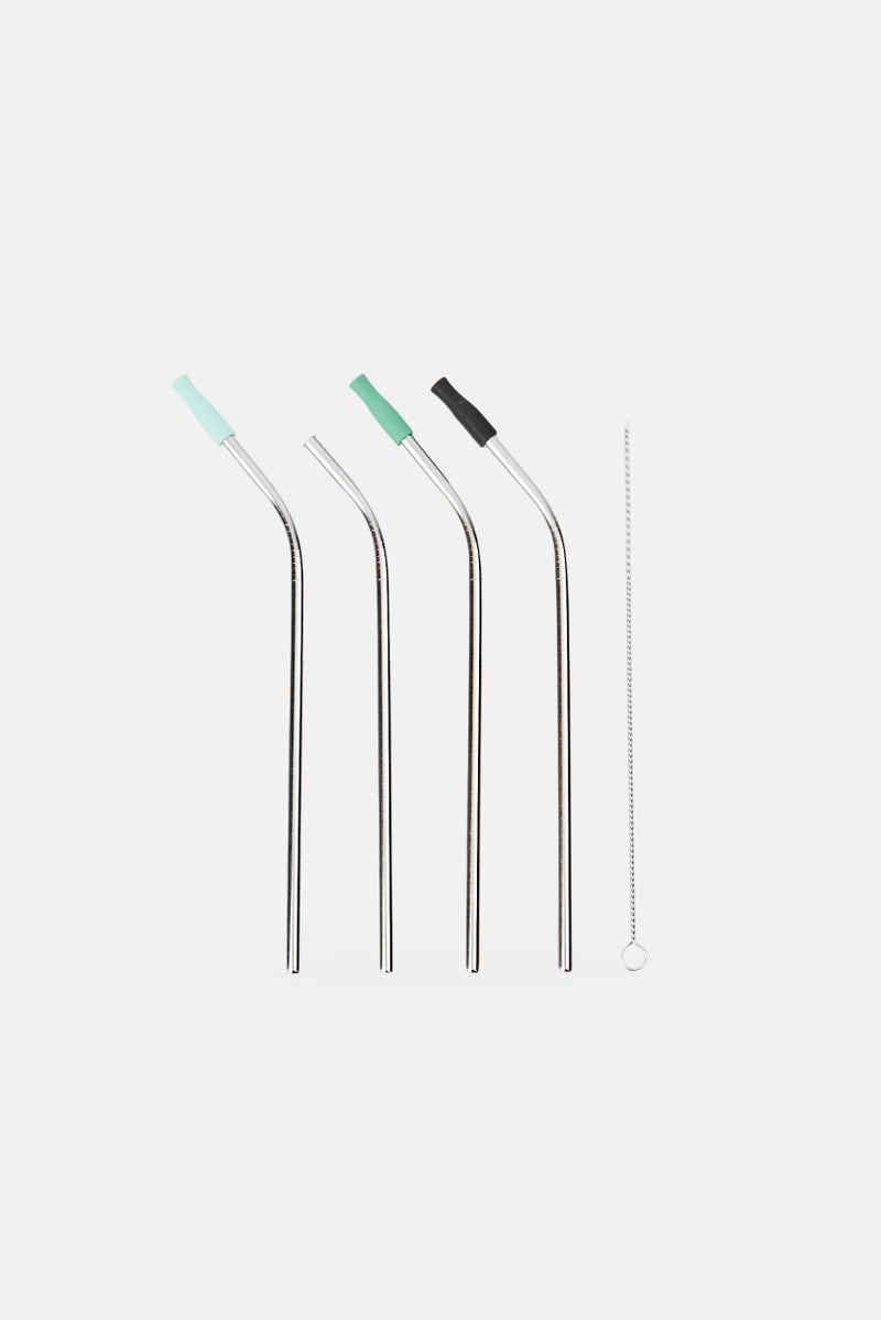Bebe Home 4 Piece Stainless Steel Straw With Cleaning Set, Silver - Image 1