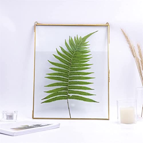 ARTINCO Art India Collections Hanging Brass Glass Photo Frame for Dried Flowers, Pressed Flowers, Poster, Double Glass Frame, glass frames for wall decor Rectangular 8 x 10 inches - Image 3