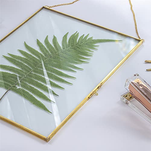 ARTINCO Art India Collections Hanging Brass Glass Photo Frame for Dried Flowers, Pressed Flowers, Poster, Double Glass Frame, glass frames for wall decor Rectangular 8 x 10 inches - Image 1