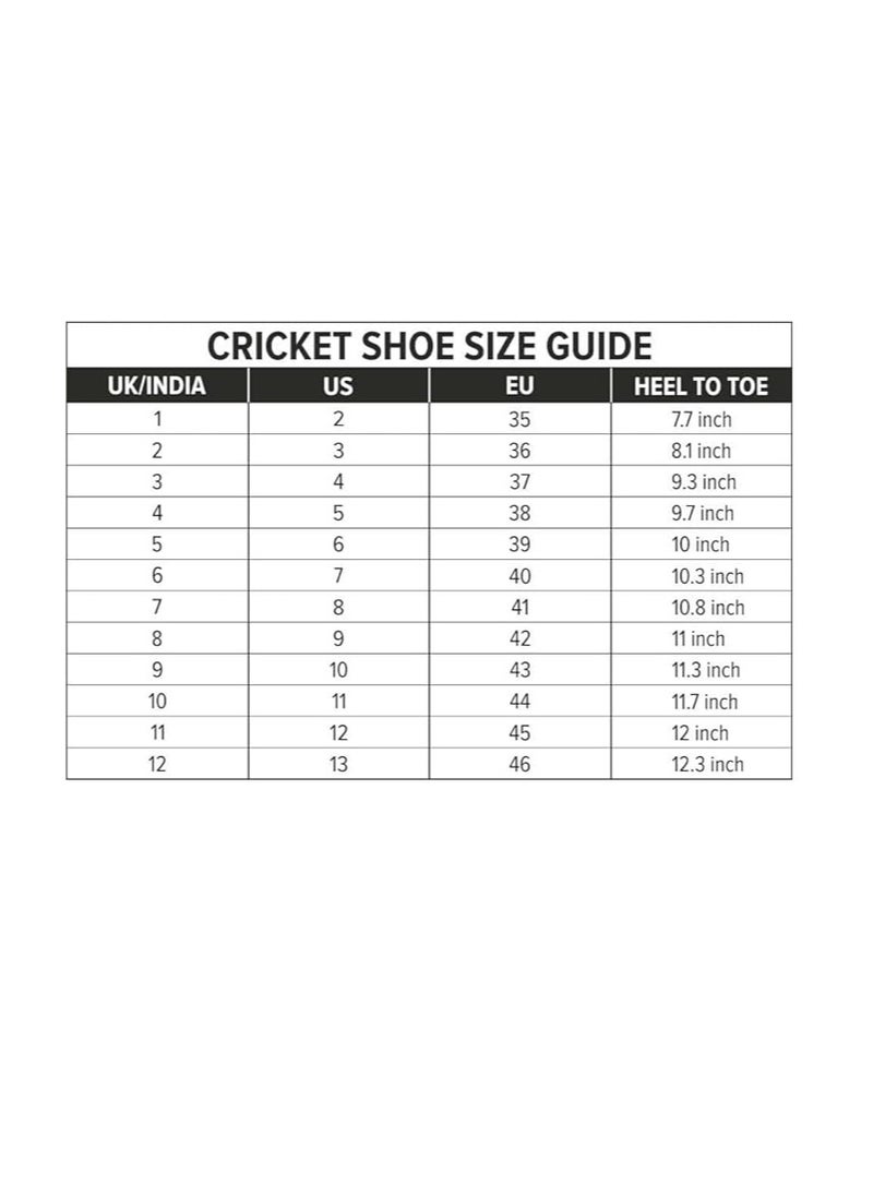 DSC - Jaffa 22 Cricket Shoes| Size: 5UK/6US/39EU | For Mens & Boys | Material: Mesh | Breathable Mesh | Non-Slip Sole for Improved Durability for Stability - Image 1