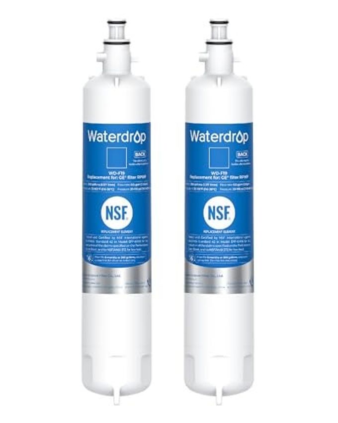 Waterdrop RPWF Refrigerator Water Filter (NOT RPWFE), Replacement for GE RPWF, WD-F19, DWF-36, R-3600, MPF15350, OPFG3-RF300, WF277, RWF1063, RWF3600A, WSG-4, Pack of 2