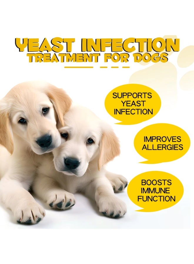 Oimmal علاج عدوى الخميرة للكلاب 60 مل، يساعد في تخفيف الحكة وعلاج العدوى وتحسين الفرو والجلد، خميرة لتخفيف حكة جلد الكلب، تخفيف الحساسية، تهدئة الأقدام والحكة في العيون والأذنين والجلد - Image 3