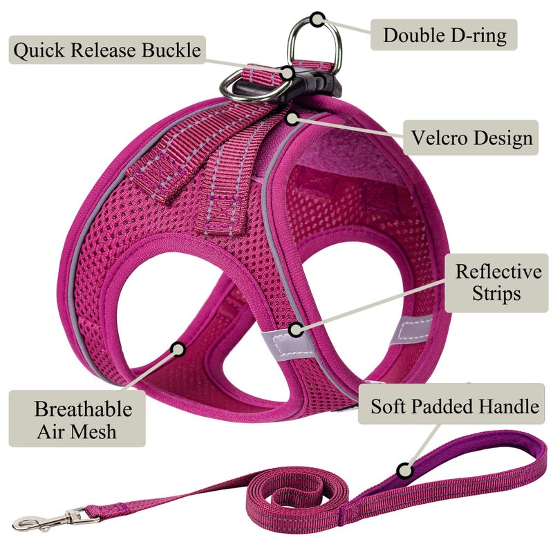 BOOMIBOO Dog Harness with Leash Set, No Pull Adjustable Reflective Step-in Puppy Pet Vest Harnesses for Small Medium Large Dogs and Cats,Rose Red XS - Image 2