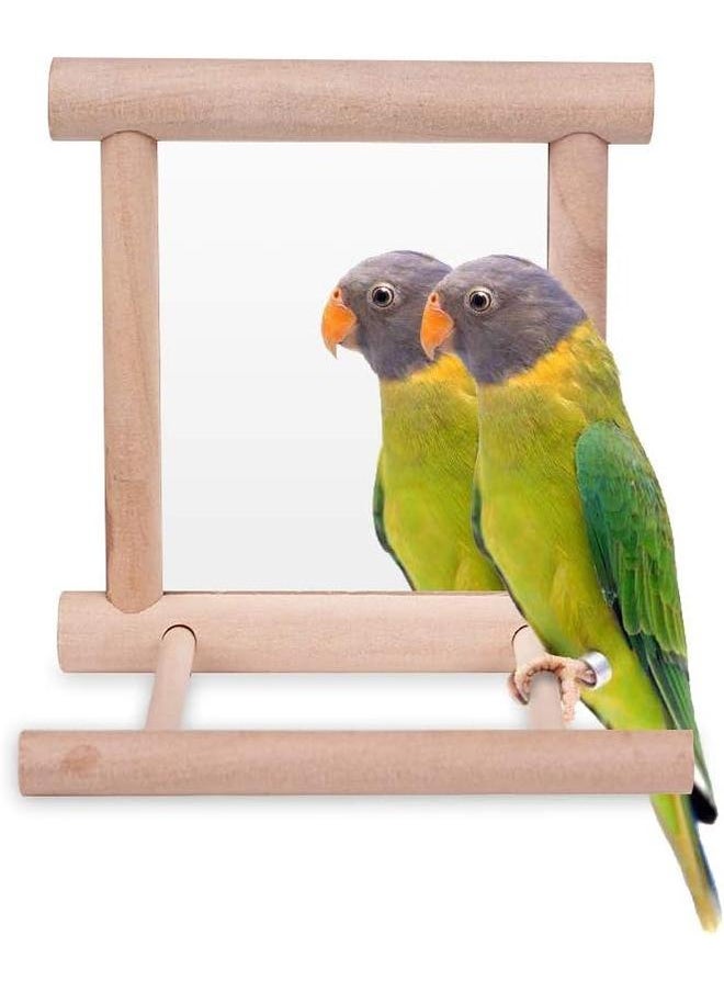 yongsheng 2pcs Bird Toy for Parrot Parakeets Conures Cockatiels Cage Swing Wooden Fun Play Toy for Birds (Mirror)  - Image 3