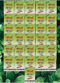 Pyary 31 Pieces Ayurvedic Soap Tumeric 