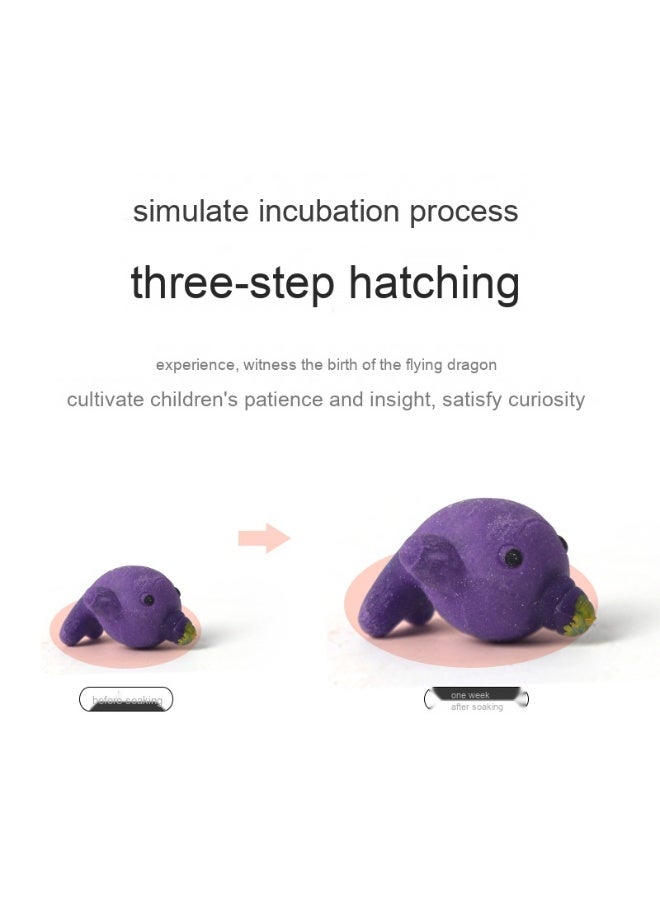 NIBEMINENT Magic Hatching Egg Growing Toy - Educational STEM Science Kit for Kids, Fun Learning & Creative Play for Ages 3+ - Image 3