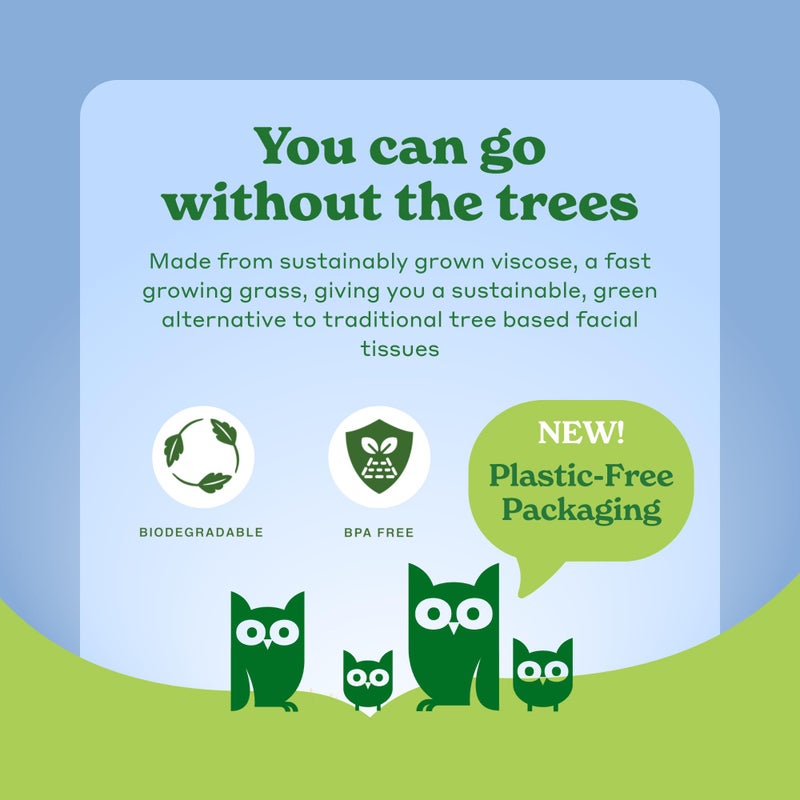 Caboo Tree Free Paper Towels, 6 Rolls, Plastic Free & Eco Friendly, Earth Friendly, Sustainable Kitchen Paper Towels with Strong 2 Ply Sheets - Image 5