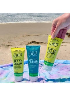 The Seaweed Bath Co. Everyday Mineral Spf 40 Broad Spectrum Sunscreen Lotion 3.4 Ounce Nutrientrich Seaweed Aloe Avocado Oil Vegan Paraben Free  - Image 5
