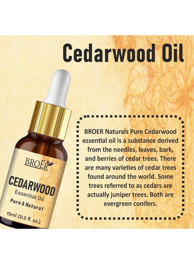 BROER Naturals Cedarwood Essential Oil | 100% Pure & Undiluted - Refreshing Essential Oil for Skin Care, Hair Care & Aromatherapy | Cruelty Free & Vegan - (pack of 2) 30ml - Image 2