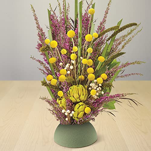 FloraCraft Floral Desert DryFōM Half Ball 1.9 Inch x 3.8 Inch Green - Image 4