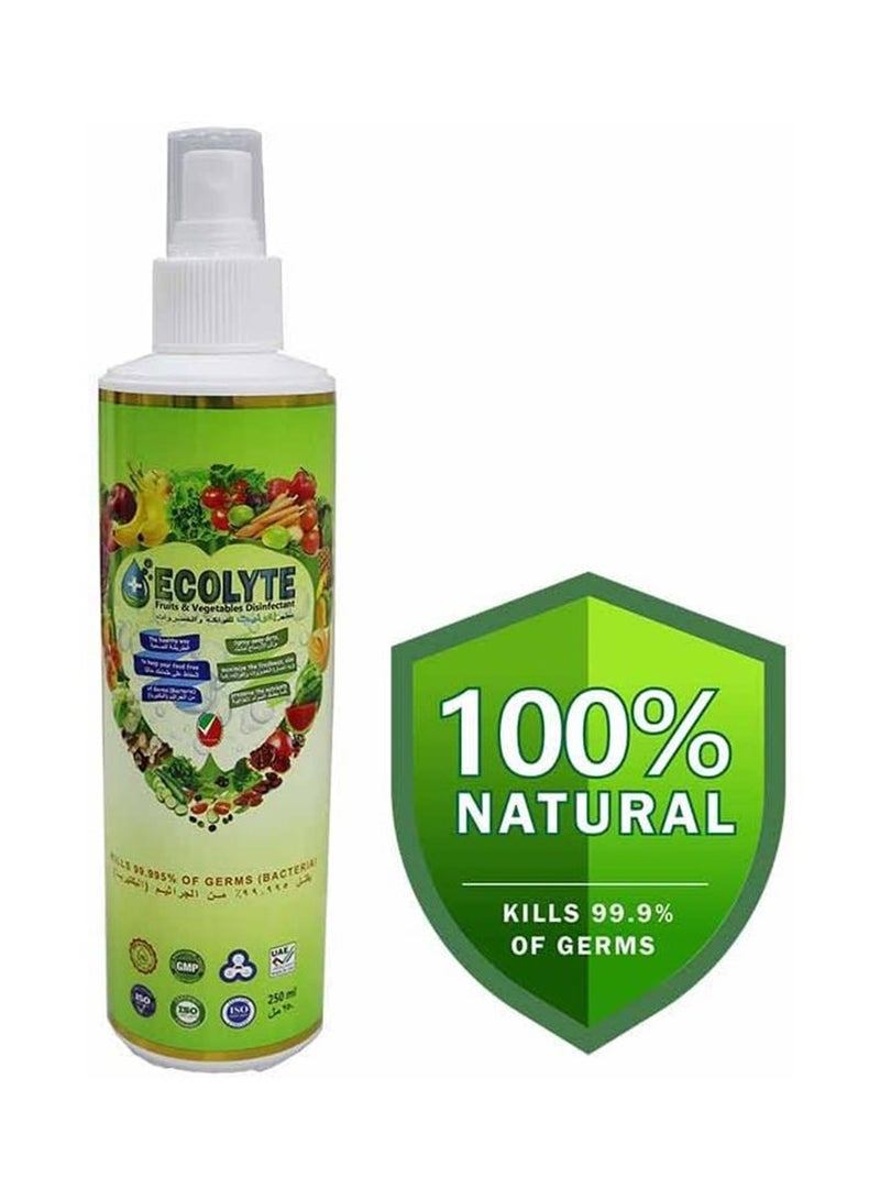 ECOLYTE+ Ecolyte Fruits and Vegetables Disinfectant 250ml - Image 2