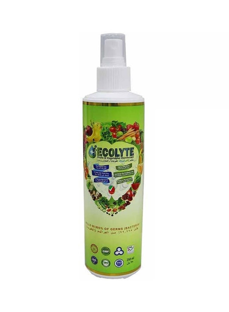 ECOLYTE+ Ecolyte Fruits and Vegetables Disinfectant 250ml - Image 1