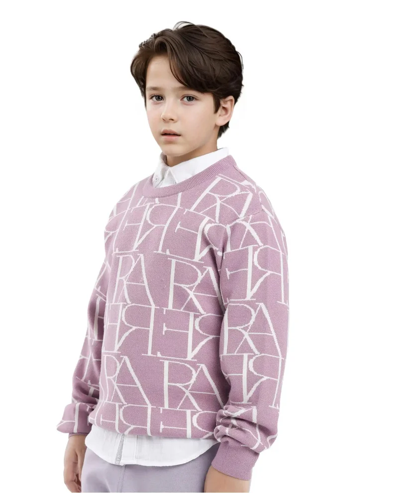 Rare Ones Rare Ones Kids Carrio Dusky Purple Full Sleeve Cotton Printed Regular Fit Sweater