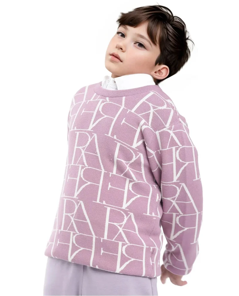 Rare Ones Rare Ones Kids Carrio Dusky Purple Full Sleeve Cotton Printed Regular Fit Sweater