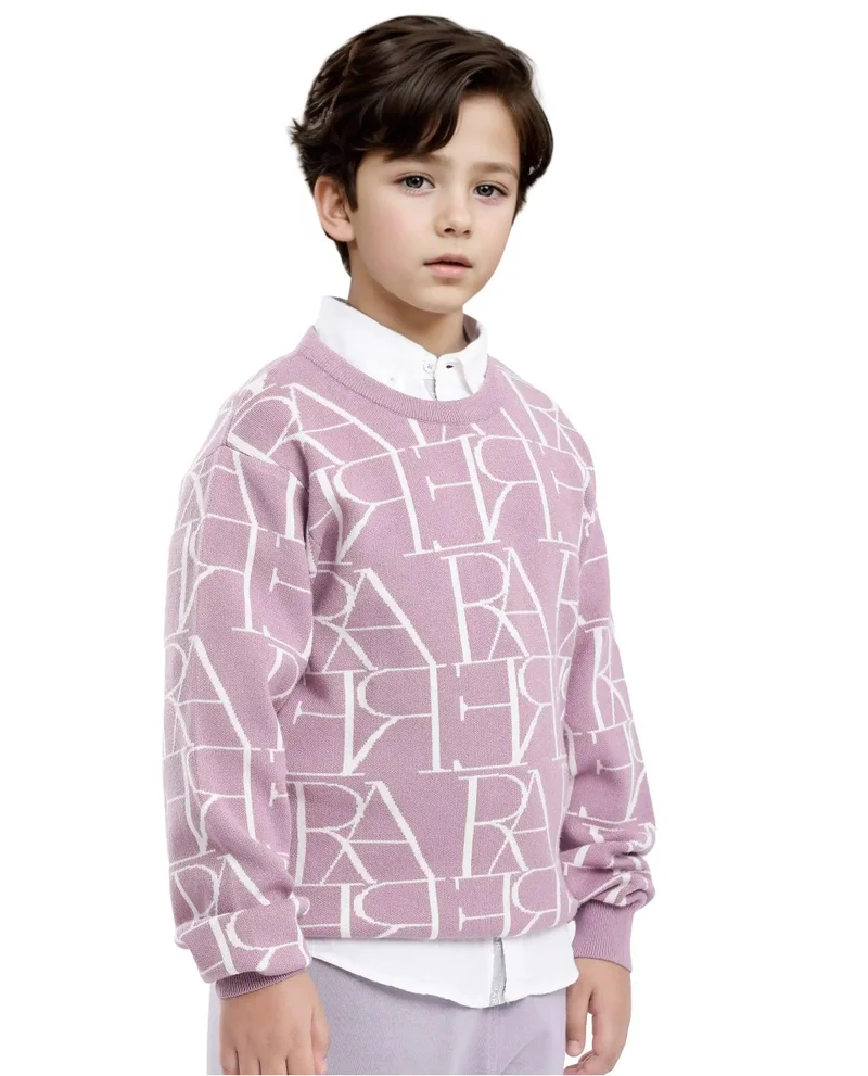 Rare Ones Rare Ones Kids Carrio Dusky Purple Full Sleeve Cotton Printed Regular Fit Sweater