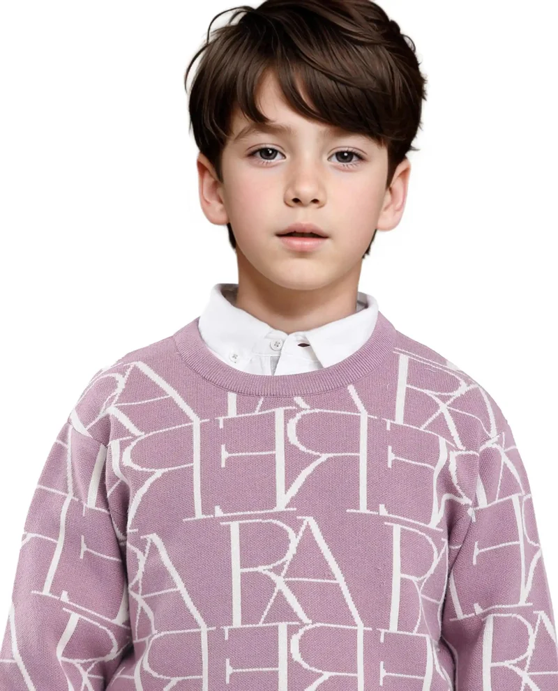 Rare Ones Rare Ones Kids Carrio Dusky Purple Full Sleeve Cotton Printed Regular Fit Sweater