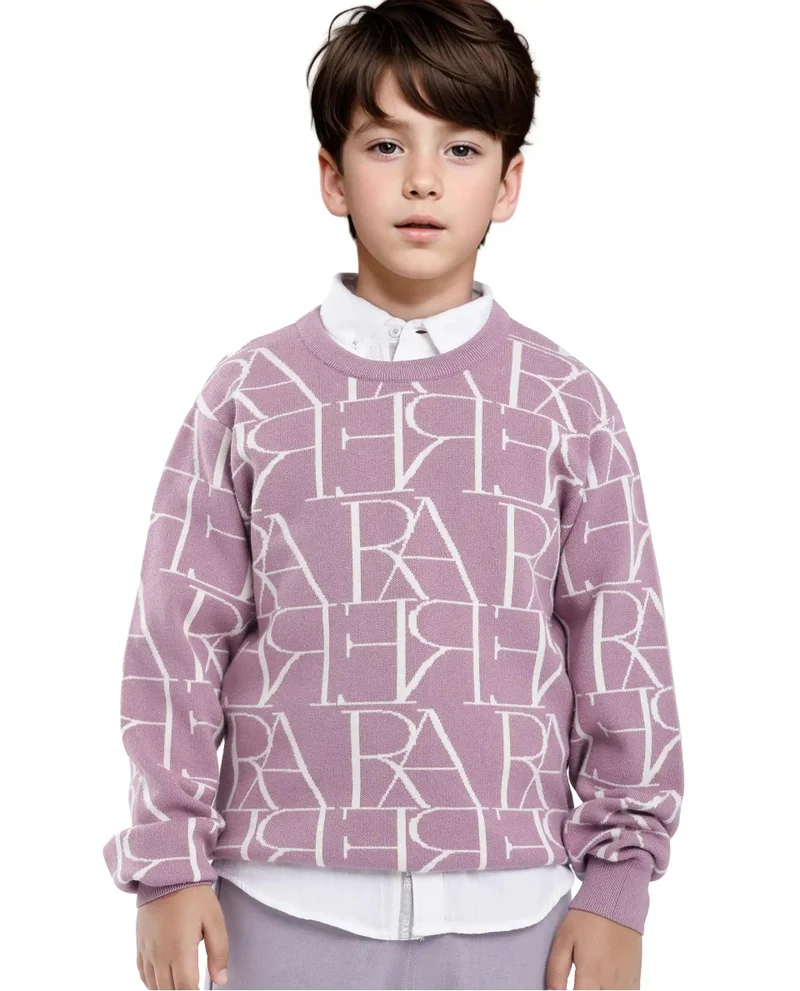 رير ونز Rare Ones Kids Carrio Dusky Purple Full Sleeve Cotton Printed Regular Fit Sweater