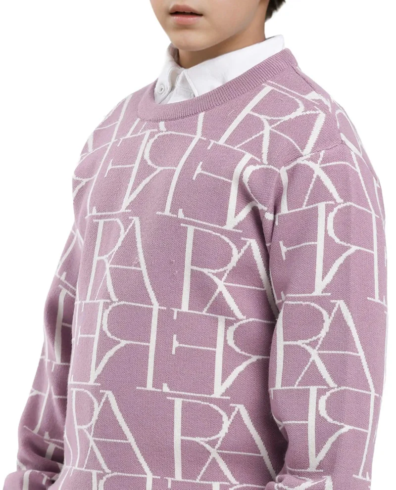 Rare Ones Rare Ones Kids Carrio Dusky Purple Full Sleeve Cotton Printed Regular Fit Sweater