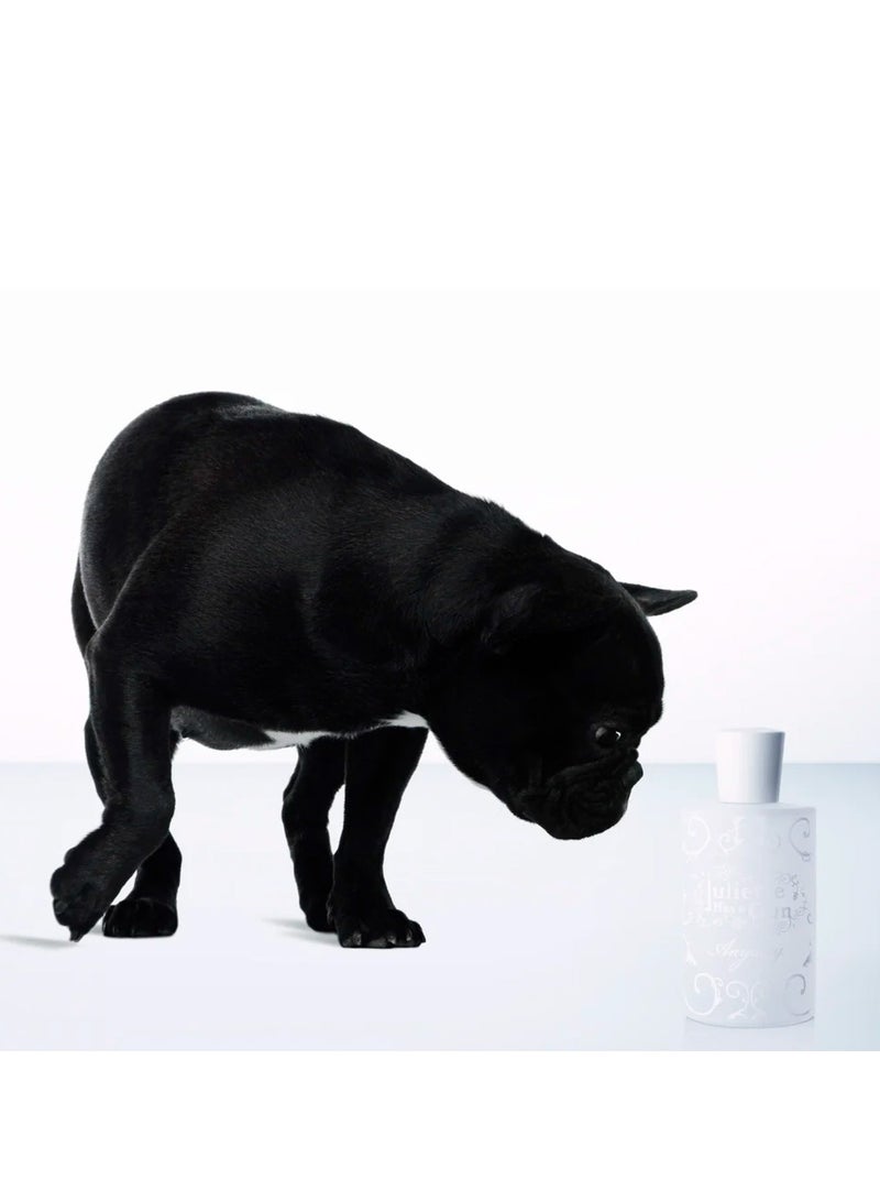 جوليت هاز اجان عطر جولييت هاز آجن أنواي أو دي بارفان، 50 مل - Image 2