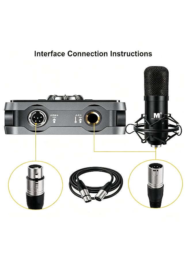 Arceyoo XLR Microphone Cable Male To Female 3 Pin Cannon Balanced Extension Cable for Recording Applications, Mixers, Speaker Systems, DMX Lights,Mixer,Amplifiers (5M/16.4Ft) - Image 5