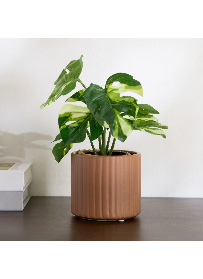 Home Box Vesus Dolomite Ribbed Plant Pot - 10.5x10.5x9.5 cm  - Image 1
