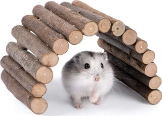 Natural Wooden Hamster Mouse Rat Rodents Toy - pzsku/ZE6E6923BA4AE72DF7D02Z/45/_/1730556888/6cf5433d-9aef-44de-a3cb-d4e5b7ed9257