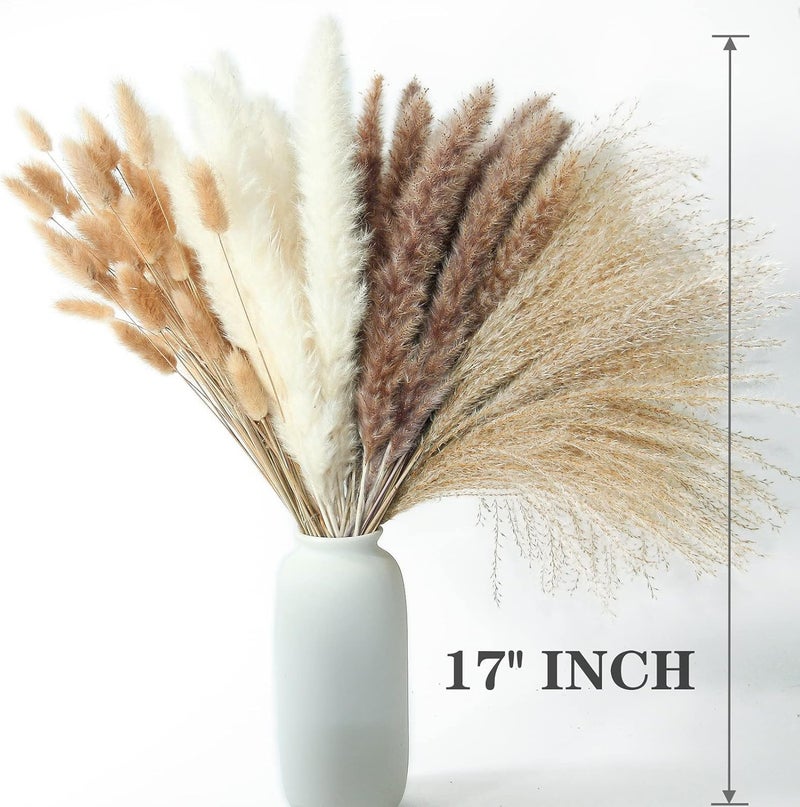 ANPROOR 300 PCS Dried Flower Bouquet – Pampas Grass, Floral Decor for Home, Wedding, and Boho Style | Perfect for Vases, Fall, Spring, Summer, and Winter Arrangements - Image 3