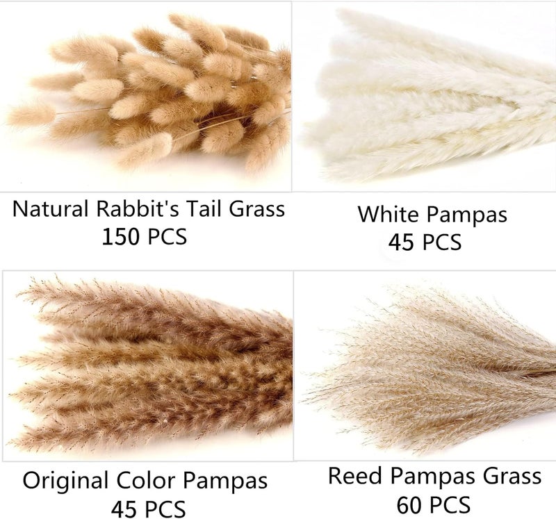 ANPROOR 300 PCS Dried Flower Bouquet – Pampas Grass, Floral Decor for Home, Wedding, and Boho Style | Perfect for Vases, Fall, Spring, Summer, and Winter Arrangements - Image 2