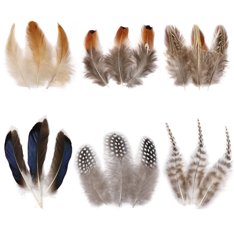 Larryhot Natural Pheasant Craft Feathers  240 pcs 6 Style Mixed Feathers for Dream Catcher SuppliesJewelryHats and Jewelry Accessories Natural