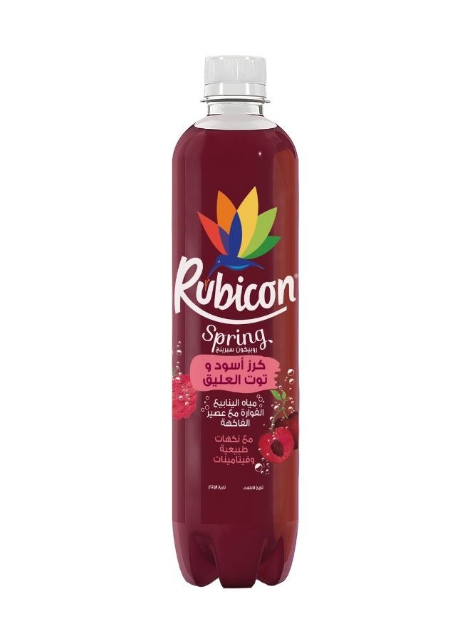Rubicon مياه الينابيع الفوارة مع فواكه حقيقية الكرز الأسود والتوت - Image 2